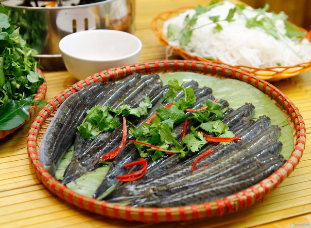 Món lẩu cá kèo ở Sài Gòn ngon thì cần phải có cá kèo thật tươi 
