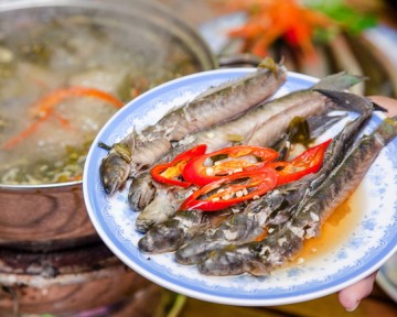 Các Món Ăn Ngon Tại Sài Gòn - Thiên Đường Ẩm Thực Sài Gòn